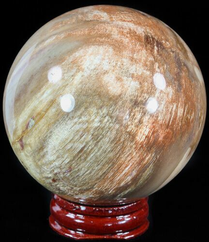 Colorful Petrified Wood Sphere #49759